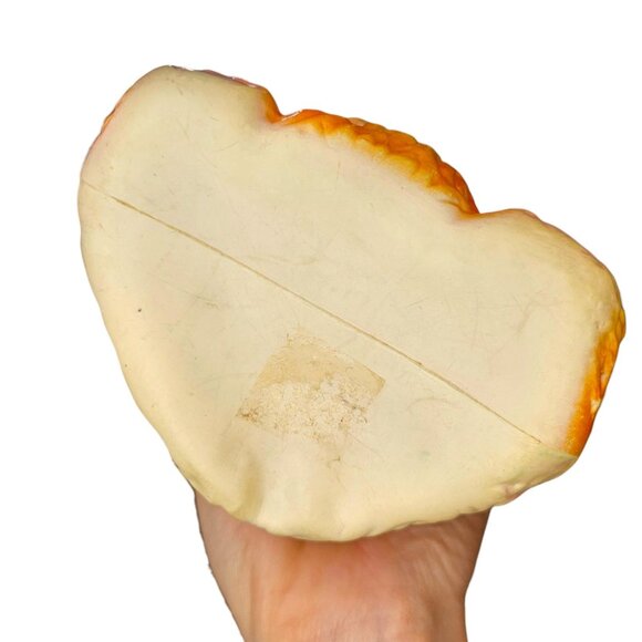 VTG 1960s Rubber Squeaker Circus Bear 8" Germany STILL SQUEAKS Kitschy Toy - Picture 8 of 15